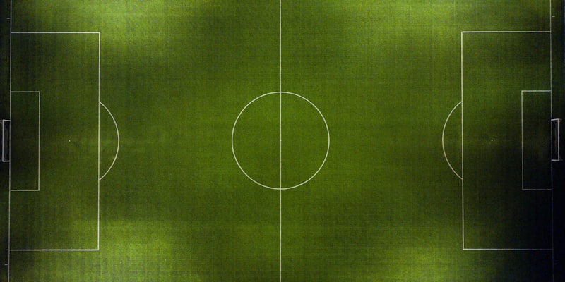 看球日记生成的年度观赛报告信息图示例，包含多种图表和数据