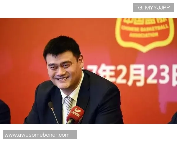 禅师以智慧引领姚明心灵成长与篮球之路的深度探索